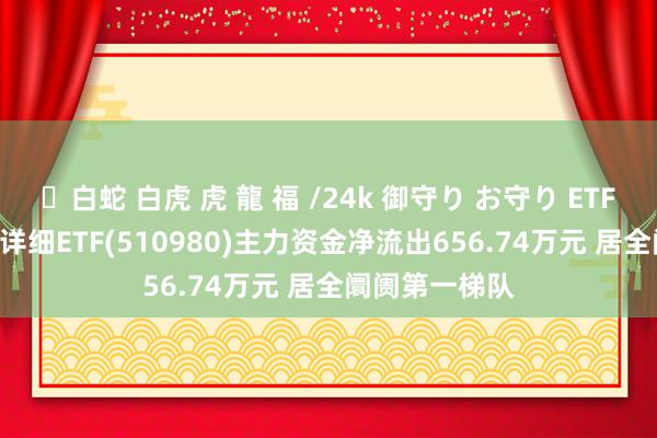 ✨白蛇 白虎 虎 龍 福 /24k 御守り お守り ETF主力榜 | 上证详细ETF(510980)主力资金净流出656.74万元 居全阛阓第一梯队