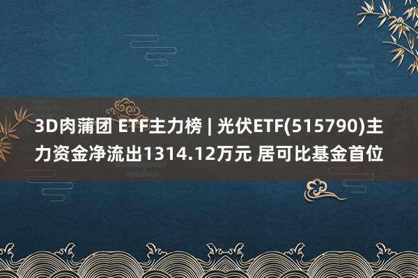 3D肉蒲团 ETF主力榜 | 光伏ETF(515790)主力资金净流出1314.12万元 居可比基金首位