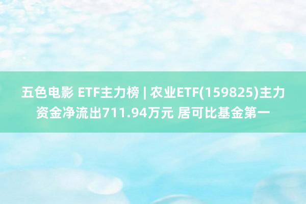 五色电影 ETF主力榜 | 农业ETF(159825)主力资金净流出711.94万元 居可比基金第一
