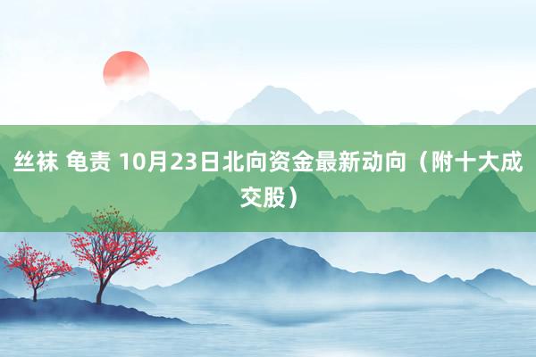 丝袜 龟责 10月23日北向资金最新动向（附十大成交股）