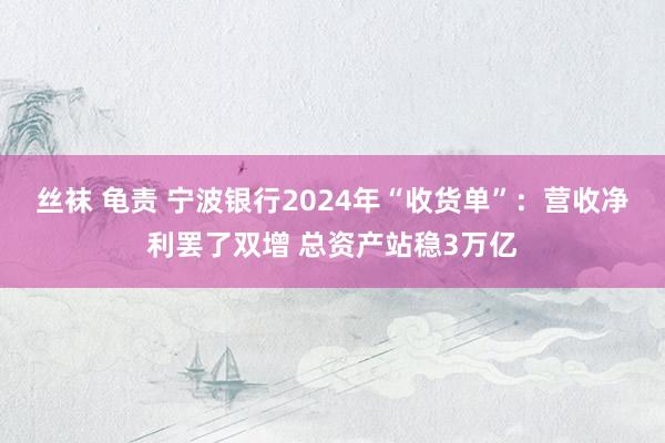 丝袜 龟责 宁波银行2024年“收货单”：营收净利罢了双增 总资产站稳3万亿
